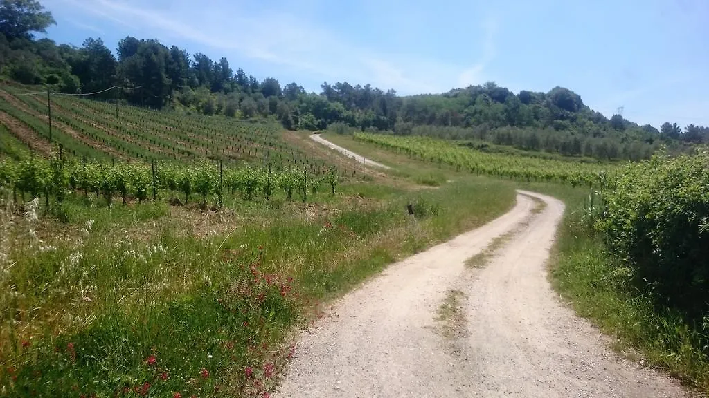 Appartamento Borgo La Casaccia Montaione